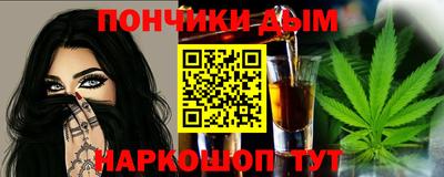 индика Мариинск