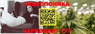 индика Мариинск
